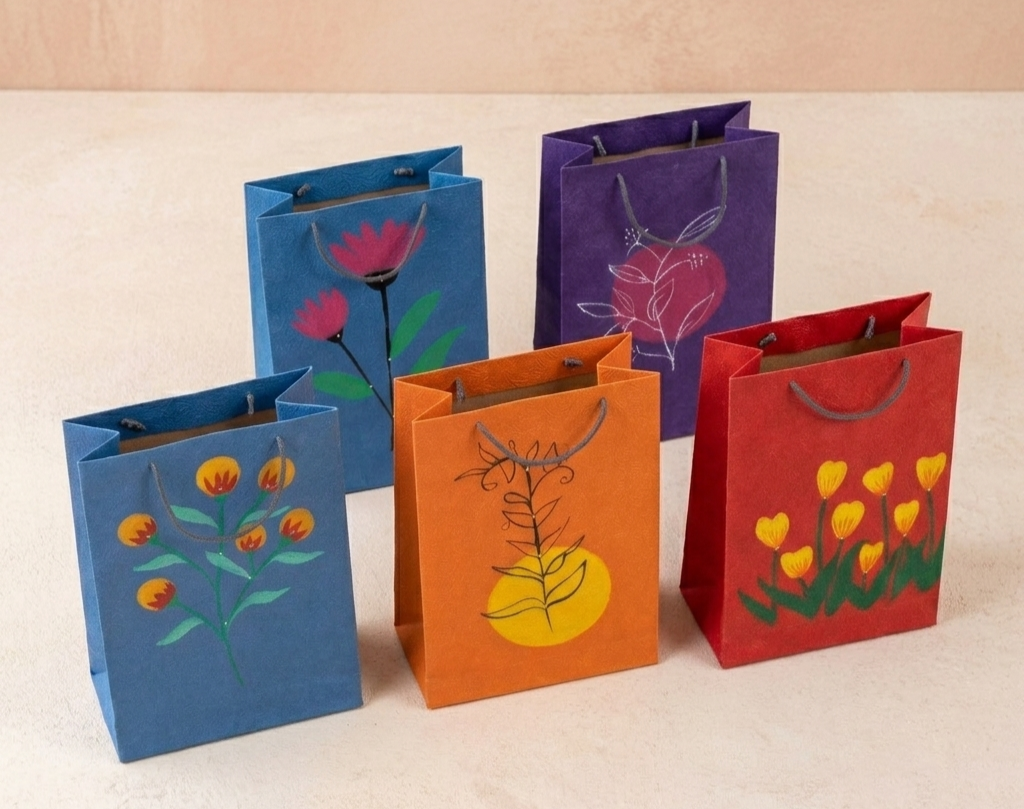Saree Bags